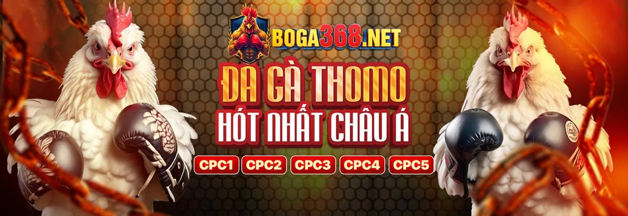 Hướng dẫn đặt cược đá gà ho88 win