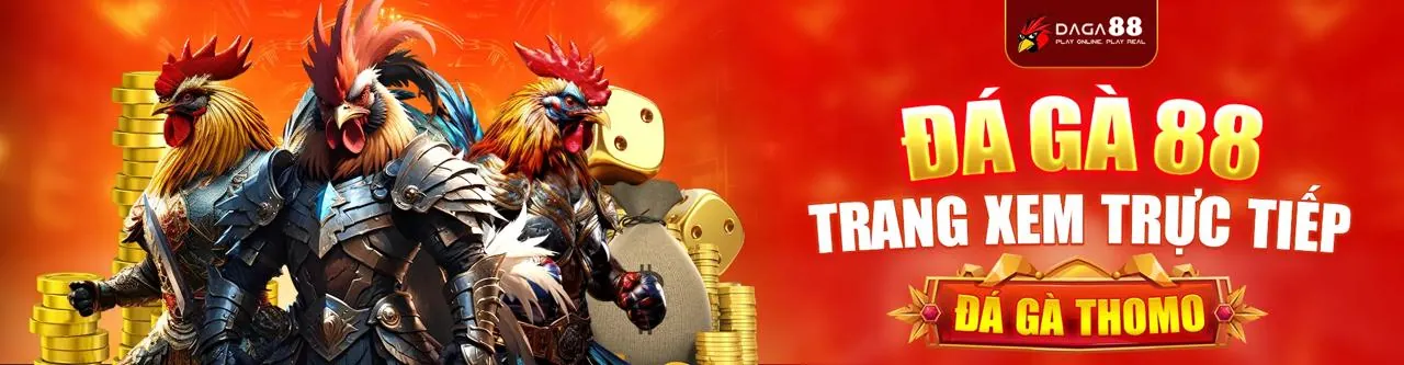 Hình ảnh Điều Khoản Dịch Vụ ho88 win