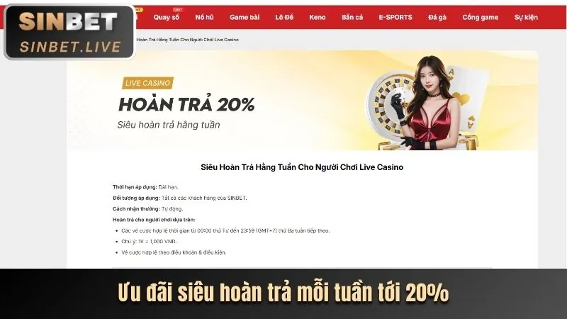Tỷ lệ hoàn trả theo cấp độ thành viên